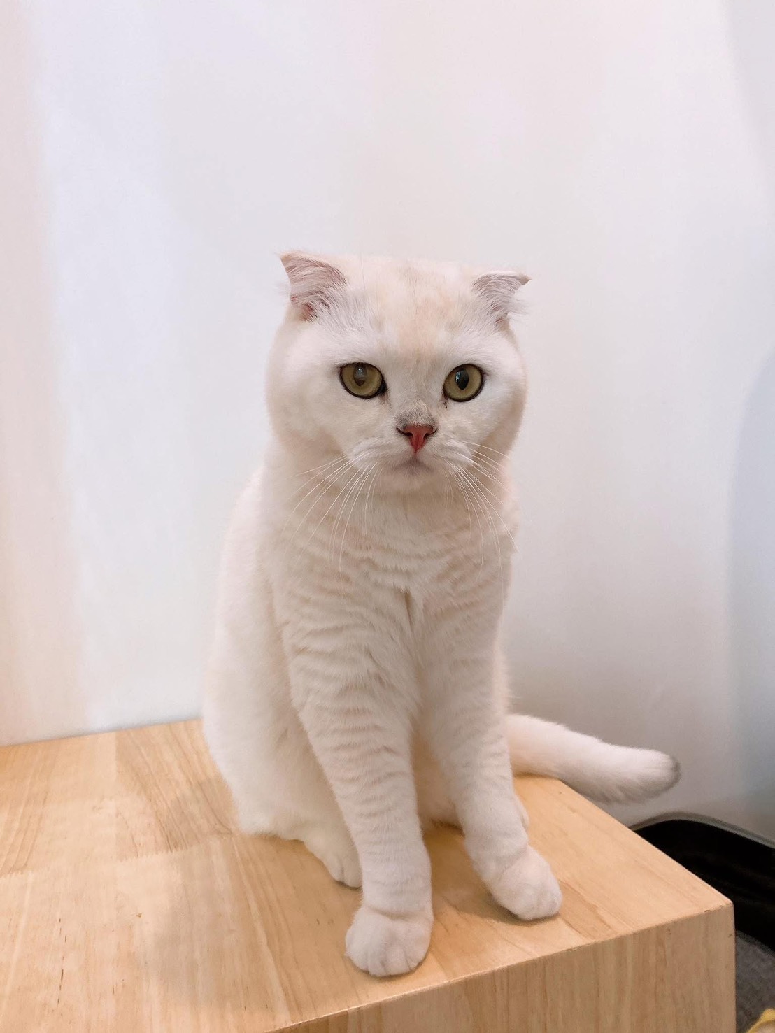 ภาพต้นฉบับ — อยู่ไหนแล้ว